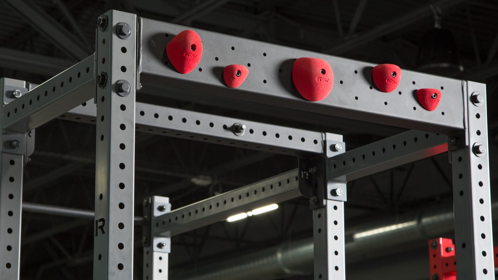 Rogue vertical climber sales
